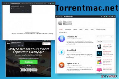 torrent website for mac